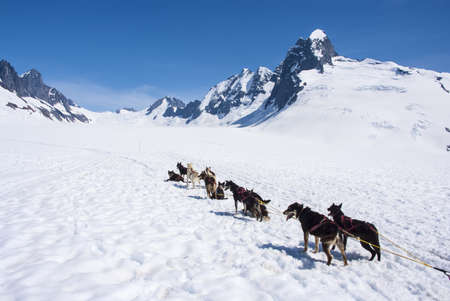 Alaska - Dog Sledding - Travel Destination