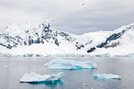 Antarctica Mountains Covered With Snow And Floating Icebergs In A Cloudy Dayの写真素材