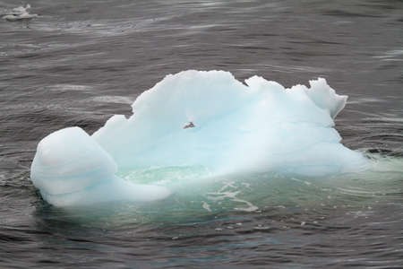 Antarctica - Shapes And Textures Of Icebergs - Extremely Closeup