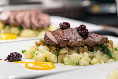 Fine Dining - Meats - Roasted Saddle Of Wild Boar With Potatoes And Blackberry Jusの写真素材