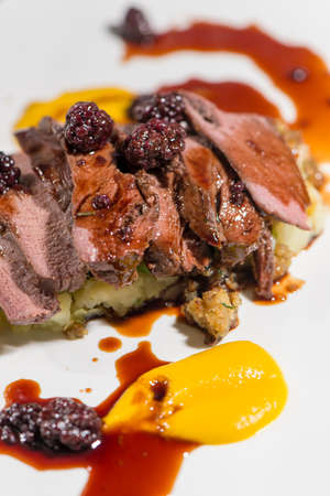Fine Dining - Meats - Roasted Saddle Of Wild Boar With Potatoes And Blackberry Jusの写真素材
