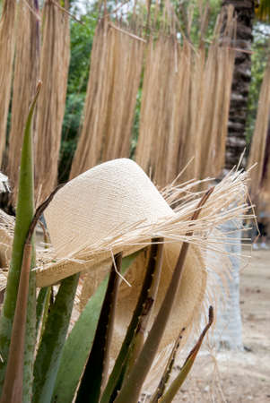 Special Display Of Unfinished Straw Hats - Hats in South Americaの写真素材