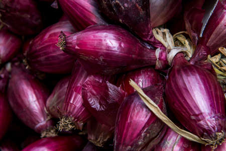 Red Onion in Fresh Food Market - Catania, Italyの写真素材