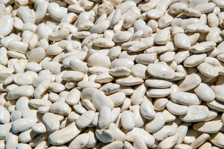 Close up from Black Beans as Background (bean)の写真素材
