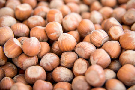 Close up on Pile of hazelnut in their shellsの写真素材