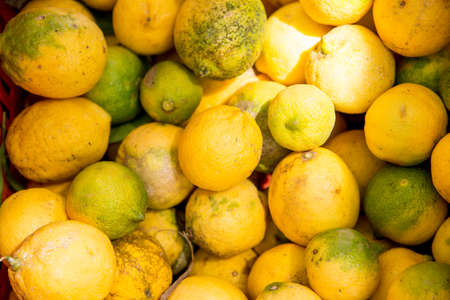 Lemon and lime fruit next to each other in the fresh food marketplace of Cefalu, Italyの写真素材