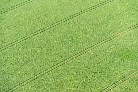 Aerial view of Buckinghamshire Landscape - United Kingdom - Hot air balloon aerial photographyの写真素材