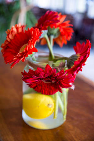 Closeup of Transvaal daisy (Gerbera) flower bouquet in a vaseの写真素材