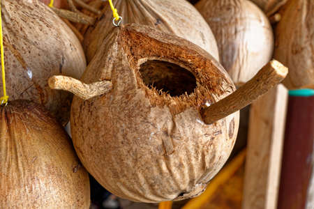 Coconut fruits handcraft in a street market in Bangkok - Thailand