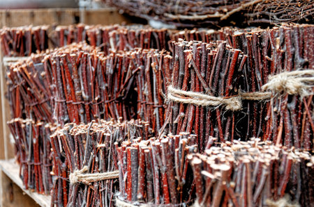 Bunch of wooden twigs tied up with a string - Home decor botanical tree branches