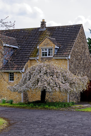 Landscape of the Village of Nunney in a sunny day, Somerset, England, United Kingdom - 8th of April 2023のeditorial素材