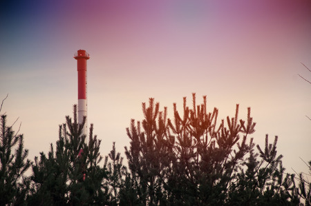 Red chimney growing out of treesの写真素材