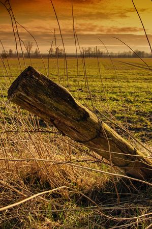 Destroyed wooden fenceの写真素材