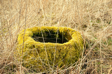 The image of old wellの写真素材