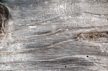 The texture of the gray boards of wood