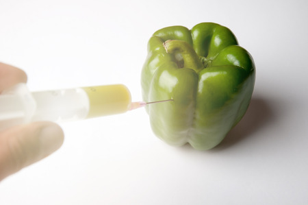 GMO green pepper and syringeの写真素材