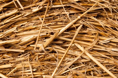 Bales of straw background