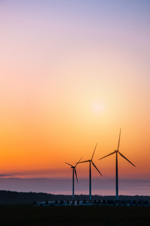 The image of windmill, sunset, energy