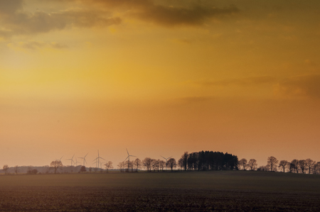 Picture of early springの写真素材