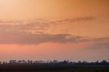 Picture of early springの写真素材