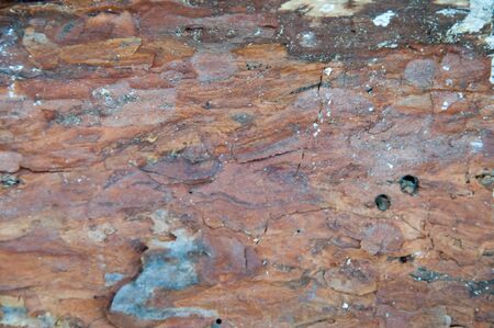 The texture of the gray boards of wood