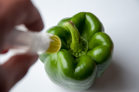 GMO green pepper and syringeの写真素材