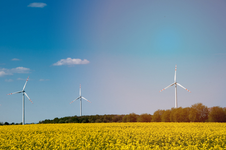 Landscape of windmills producing energy on a yellow rape field with view of the beautiful sky
