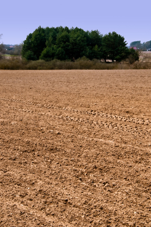 The image of farmland.の写真素材