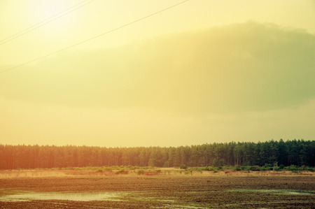 Winter or early spring landscape of field with raised hide under cloudy sky. Sad landscapeの写真素材