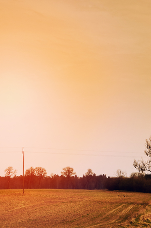 The image of farmland.の写真素材