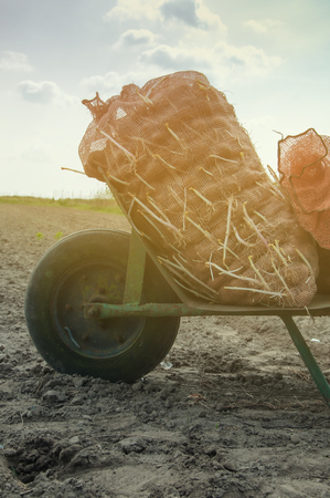 two bags of potatoes in a wheelbarrowの写真素材