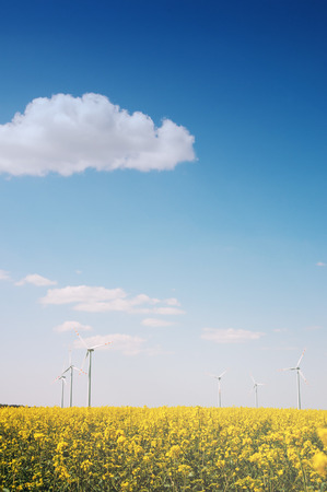 Wind turbine in rape fieldの写真素材
