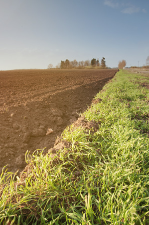 The image of farmland.の写真素材