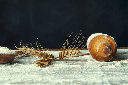 roller flour and a wooden spoon and wheat ears.の写真素材