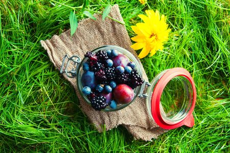 Fresh fruit sealed in a jar. Grass background.の写真素材