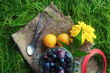 Fresh fruit sealed in a jar. Grass background.の写真素材