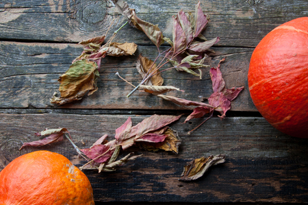 Pumpkins on an old wooden table from above. text space.の写真素材