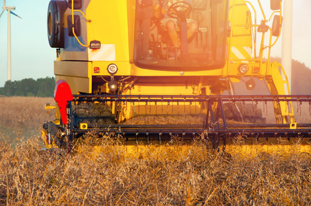 Rape field and combine at work.の写真素材