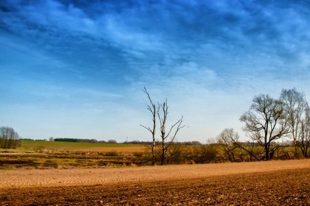 The image of farmland.の写真素材