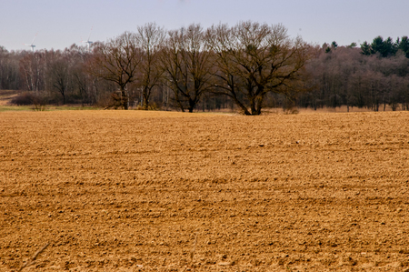 The image of farmland.の写真素材