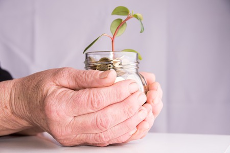 The hands of a mature woman are holding their savings.