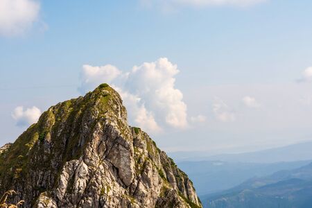 Mountain pine and magical light coming out from behind the clouds.の写真素材