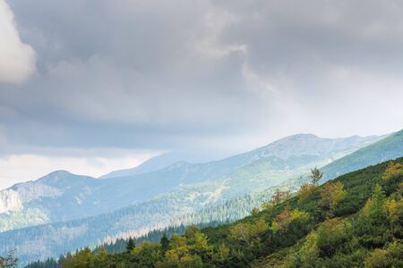 Tatras Mountains covered by green pine forests, Sの写真素材