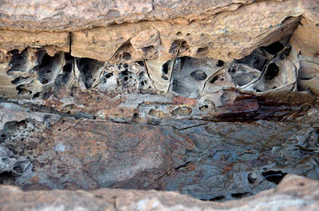 Detail of the special amazing erosive rock in the Bay of Islandの写真素材