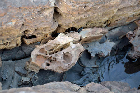 Detail of the special amazing erosive rock in the Bay of Islandの写真素材