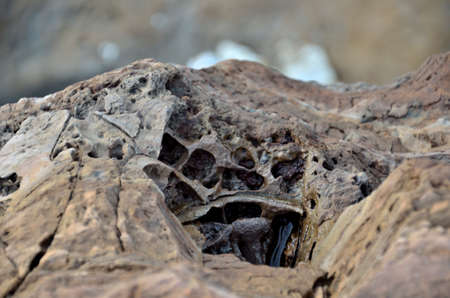 Detail of the special amazing erosive rock in the Bay of Islandの写真素材