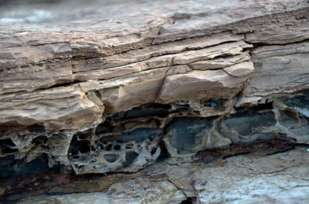 Detail of the special amazing erosive rock in the Bay of Islandの写真素材