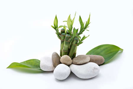 bamboo with stone isolated on white backgroundの写真素材