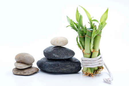 bamboo with stone isolated on white backgroundの写真素材