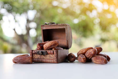 Ramadan concept of dates fruits with nature background